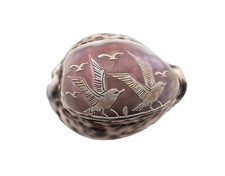 Victorian Hand Carved Cowrie Seabirds Gulls Design