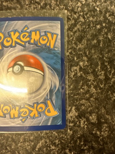 Seismitoad - Picture 5 of 6