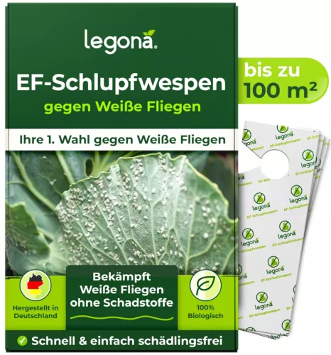 Legona EF-Schlupfwespen gegen Weiße Fliegen | 10 Karten à 10 m²