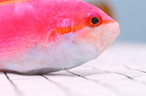 Pet Cat Motorised Catnip Play Simulated Fishes Kitty Chew Electronic Teaser Toys - Picture 38 of 40