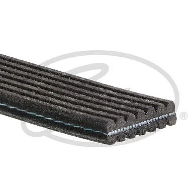 Correa acanalada Micro-V® GATES 7DPK2884 para Porsche Foto 2 de 2