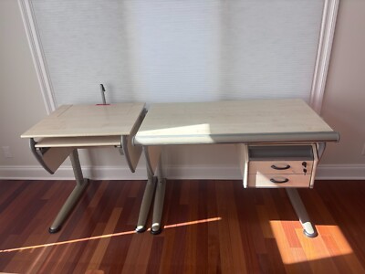 Moll Adjustable Desk from Germany
