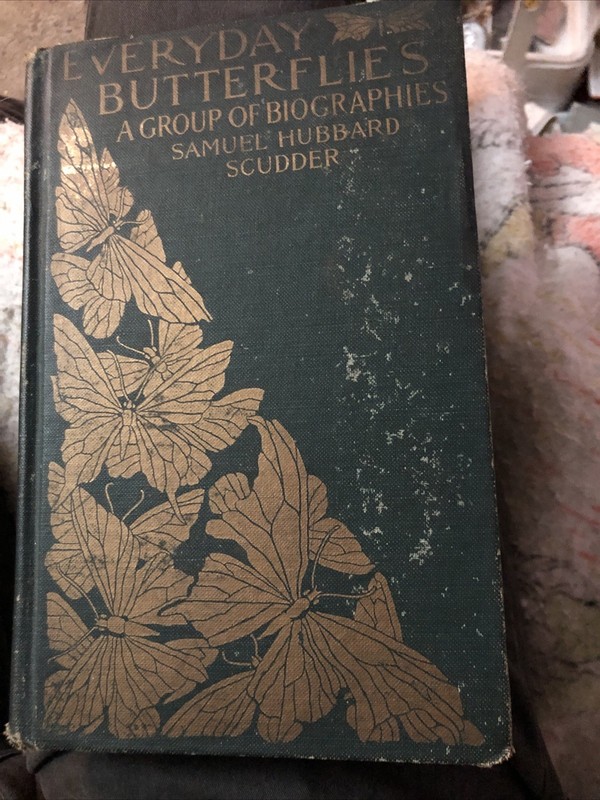 Every Day Butterflies A Group Of Biographies 