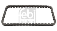 Febi Bilstein Steuerkette 45955 FüR Seat Skoda Vw Audi Cc Alhambra Exeo Tt 5C2 6