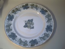 Vintage Royal Worcester Mathon Worcester Hops Dinner Plate x6  27.5cm