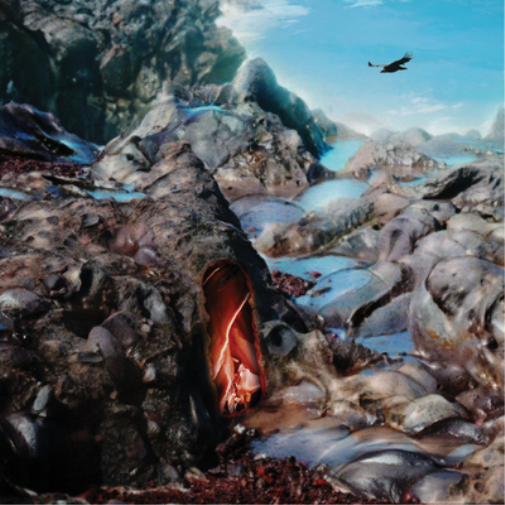 Kleenex Girl Wonder Vana Mundi (Vinyl LP) 12" Album