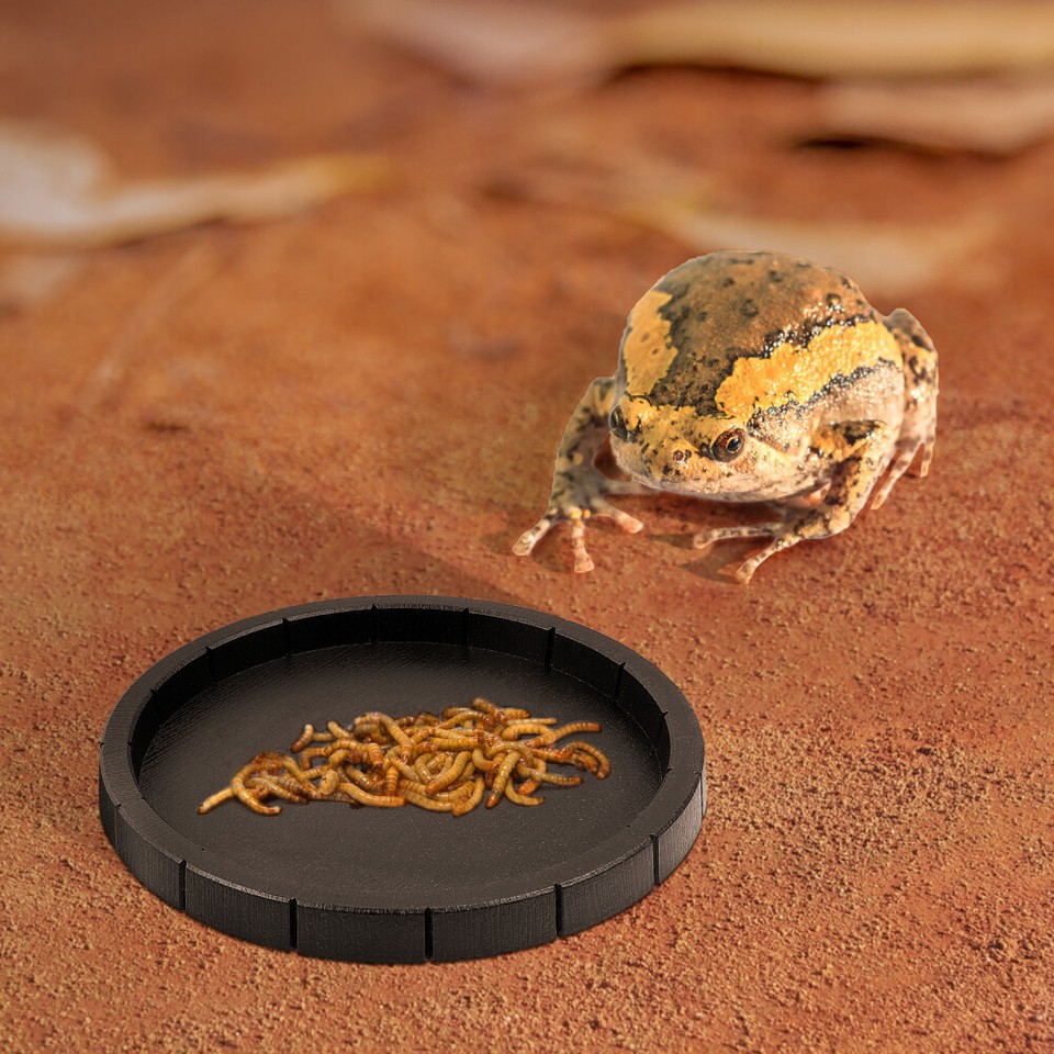 Snake Water Bowl Turtle Safe Pet Feeding Dish Reptile Drinking Gecko