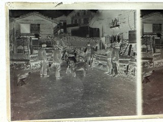 Lot 32 Vues Verre Stéréo 6x13 Archives Photo Suisse Montagne Alpes Divers 1910 ?