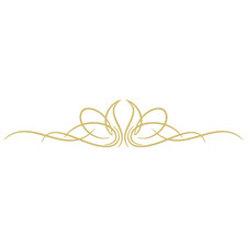 Vinyl Pinstripe Decal -many Sizes And Colors To Choose From- Free Us Shipping