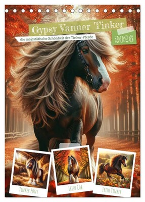 Gypsy Vanner Tinker - die majestätische Schönheit der Tinker-Pferde...