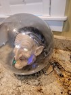 Gemmy Industries Halloween Animated Witch Head Crystal Large Spirit Ball READ — photo 3