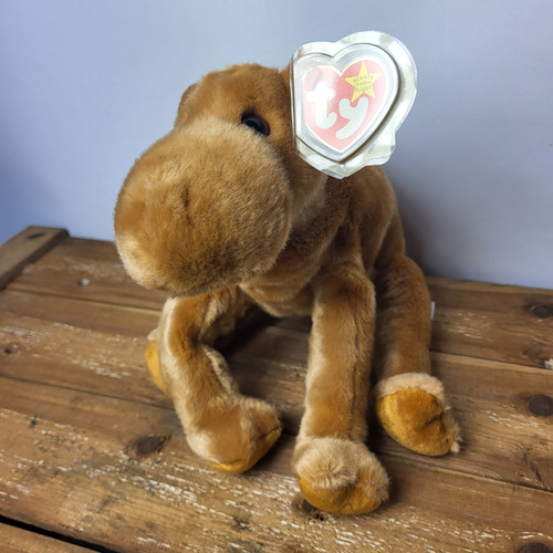 Ty Beanie Buddies " Humphrey " Vintage 1998 da collezione The Camel ottime condizioni con etichetta - Foto 3 di 9