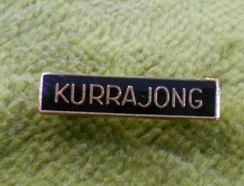 #D203. COWRA HIGH SCHOOL LAPEL BADGE - SRC EXECUTIVE & KURRAJONG HOUSE BADGE - 第 4/5 張圖片