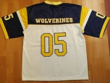 NFL Michigan Wolverines t-shirt, vintage Michigan State, 90s hip hop size L