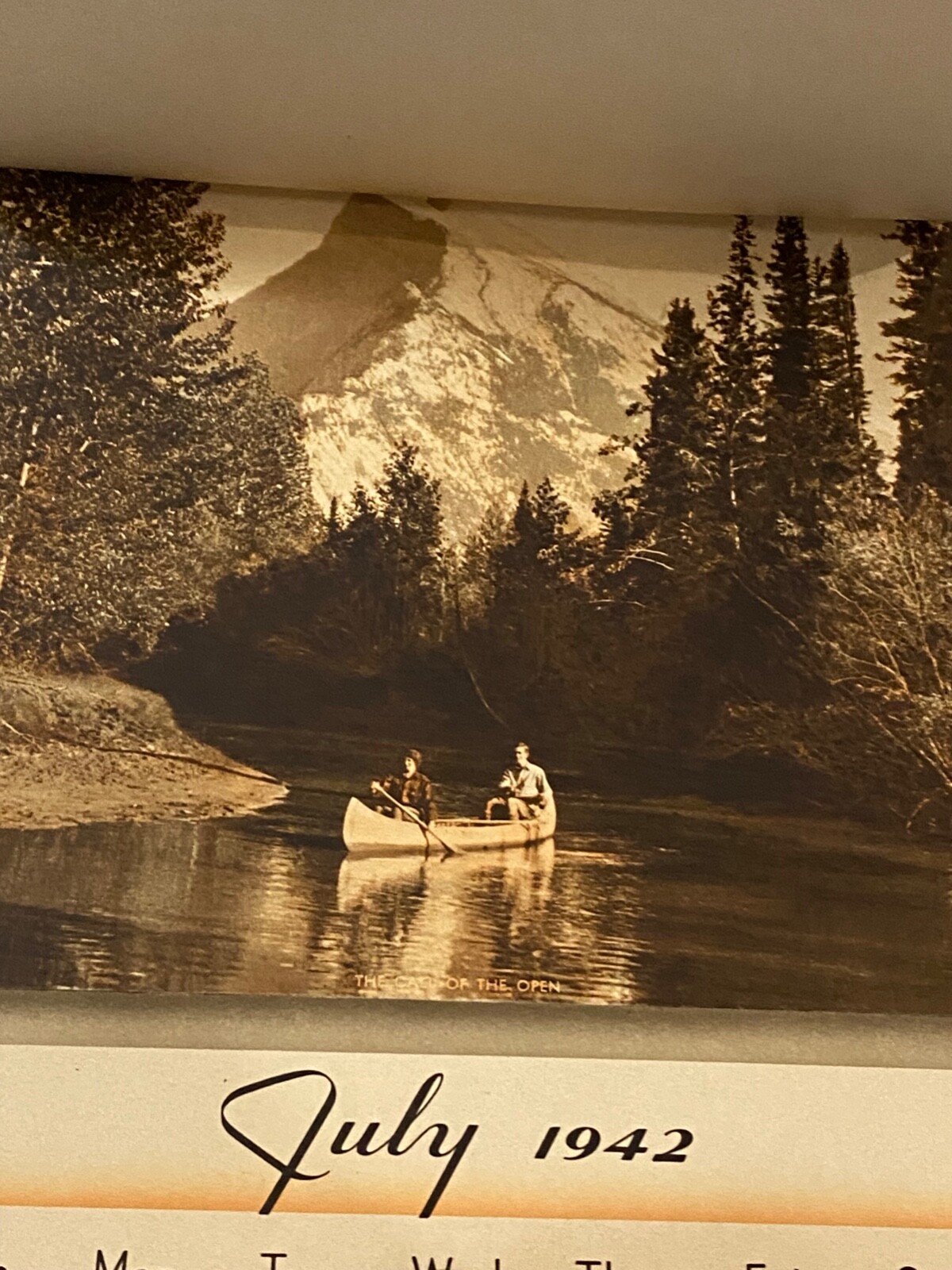 Picture 12 of 20