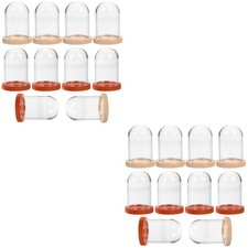 Set of 2 Bell Jars Dome Glass Display Eternal Flower Cover Miniature Cloche