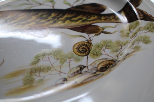 Vintage Maclennan & Son Broadford Isle of Skye Fish Plate - Pike and Snails - Picture 3 of 9