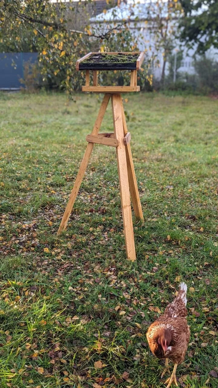 Bild 7 von 8