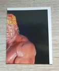 Bild 14 von 300