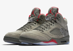 retro 5 take flight