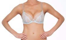 Claudette Dessous Mesh Full Coverage Sheer Br...