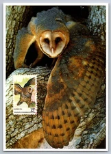 #1762 Barred Owl Maxi Card