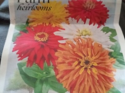 This beautiful multi-colored Zinnia is a must-have for any garden enthusiast!...