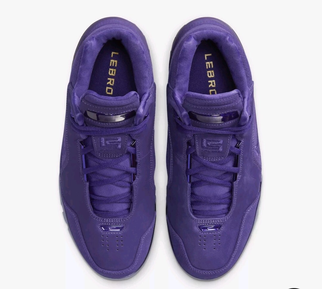 Nike Air Zoom Lebron James Generation Court Purple Suede  display picture 3