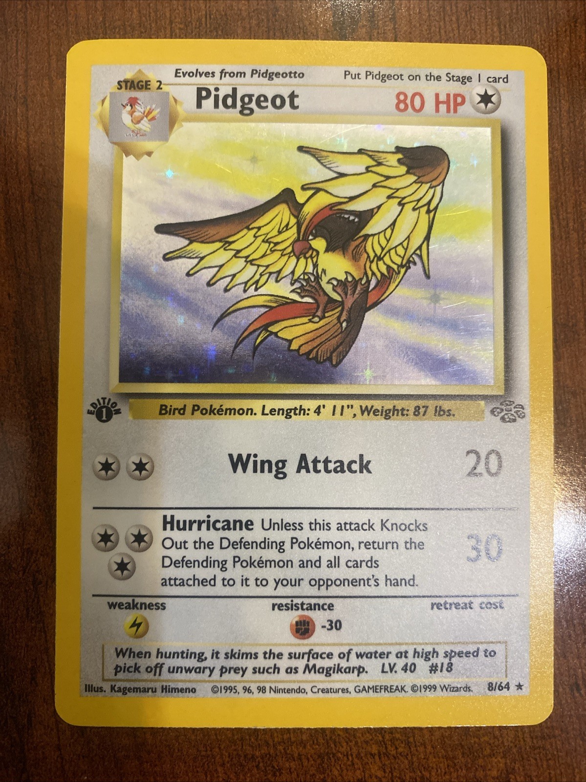 Pokemon Pidgeot 1st Edition Jungle 8/64 Holo Rare NM ⭐️