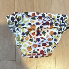 Smart Bottoms Life Tulips Cloth Diaper Multicolor Fruit Vegetable Print