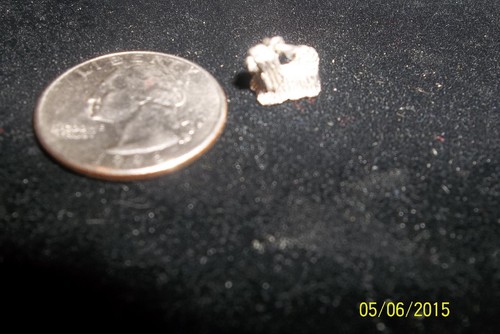  Shih Tzu 3D Charm Luv My Pet Forever  bracelet Charms pendant sterling 