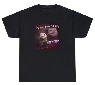 I'm Not Like Other Girls I'm Worse T Shirt Funny Racoon Dank Meme Humor Tee
