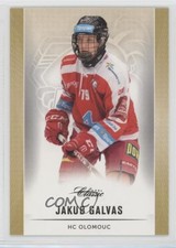 2016-17 OFS Classic ELH Czech Extraliga Jakub Galvas #178 1o1