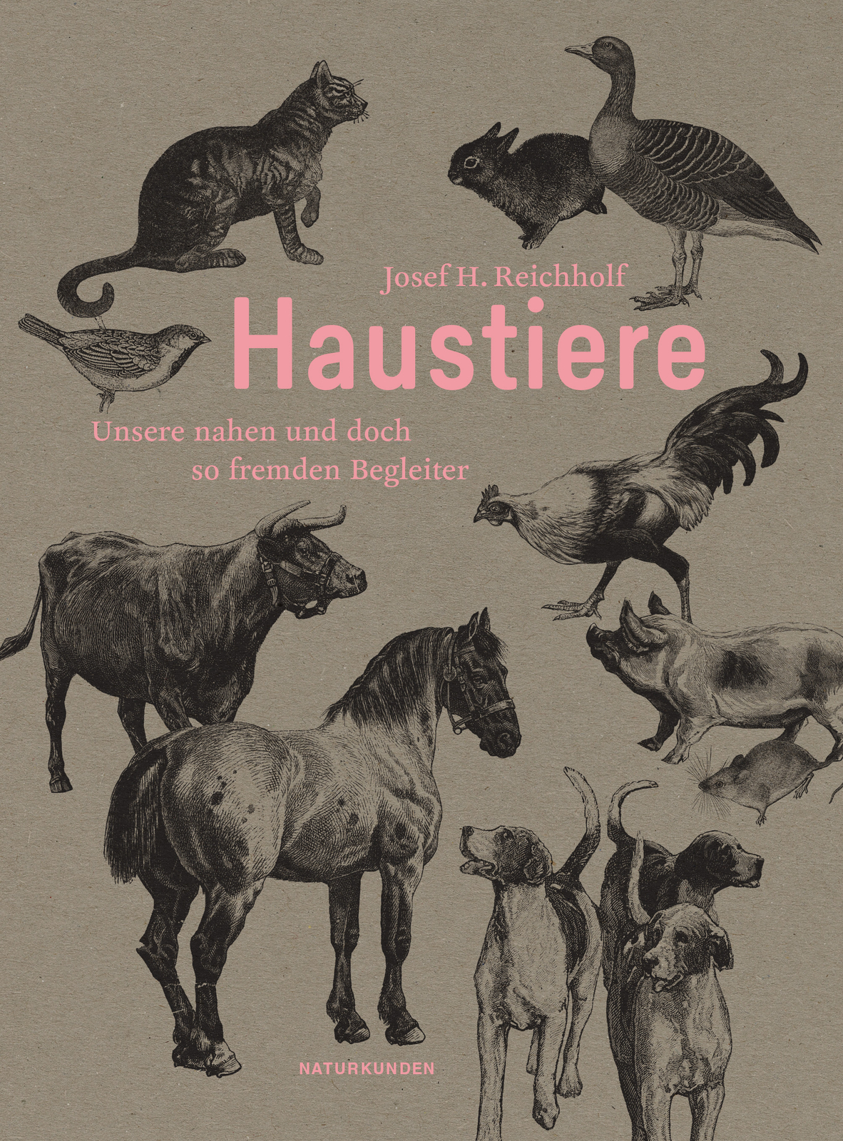 Thumbnail - Josef H. Reichholf; Judith Schalansky; Falk Nordmann / Haustiere