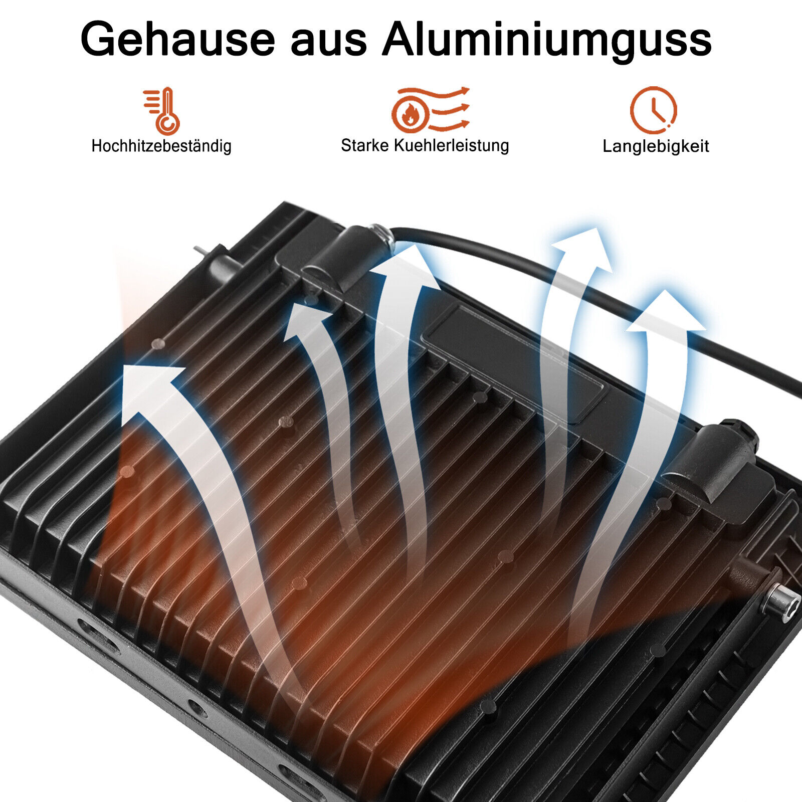 Bild 6 von 12