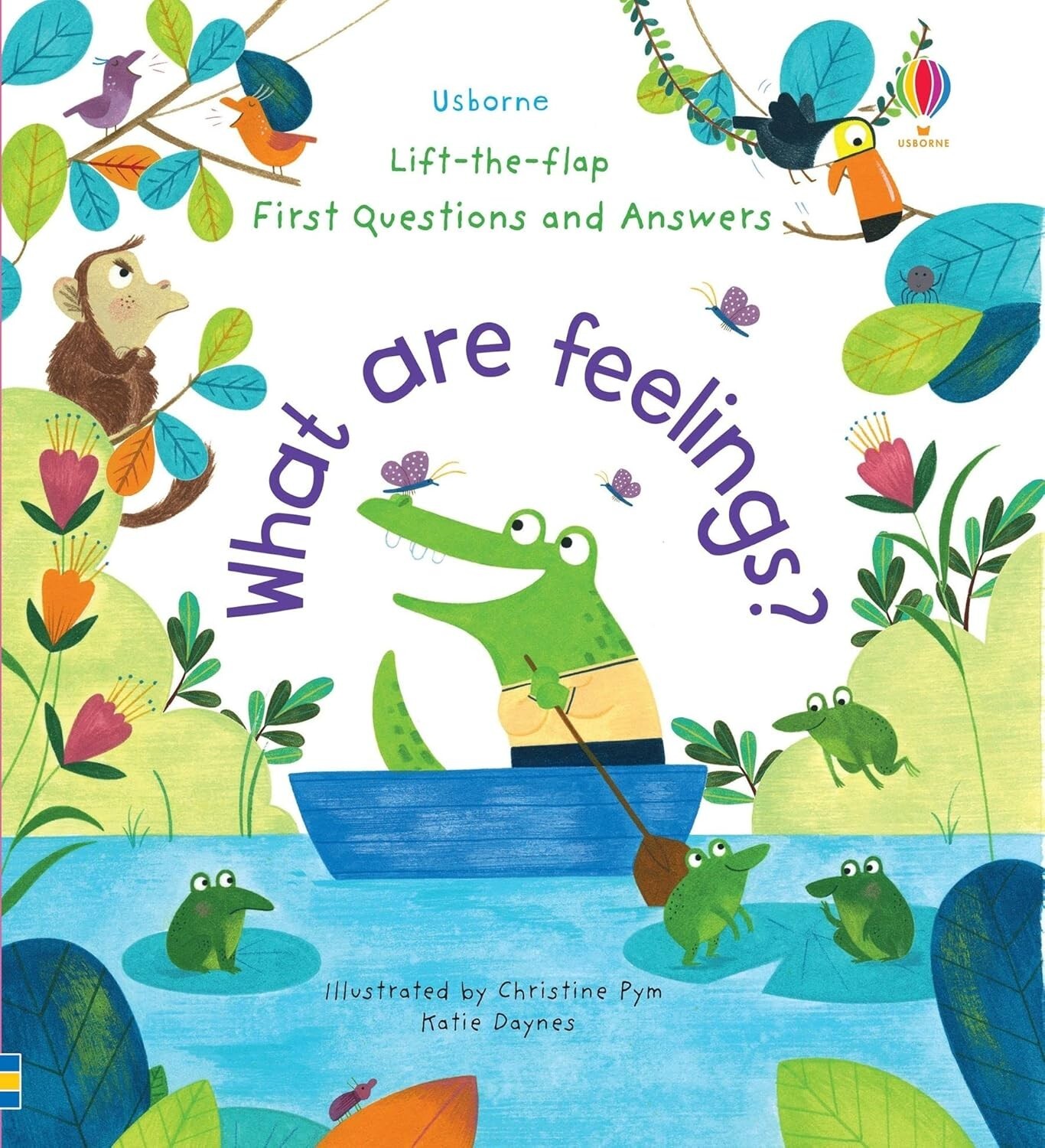 What are Feelings? (Lift-the-Flap First Questions & Answers) (Board Book)