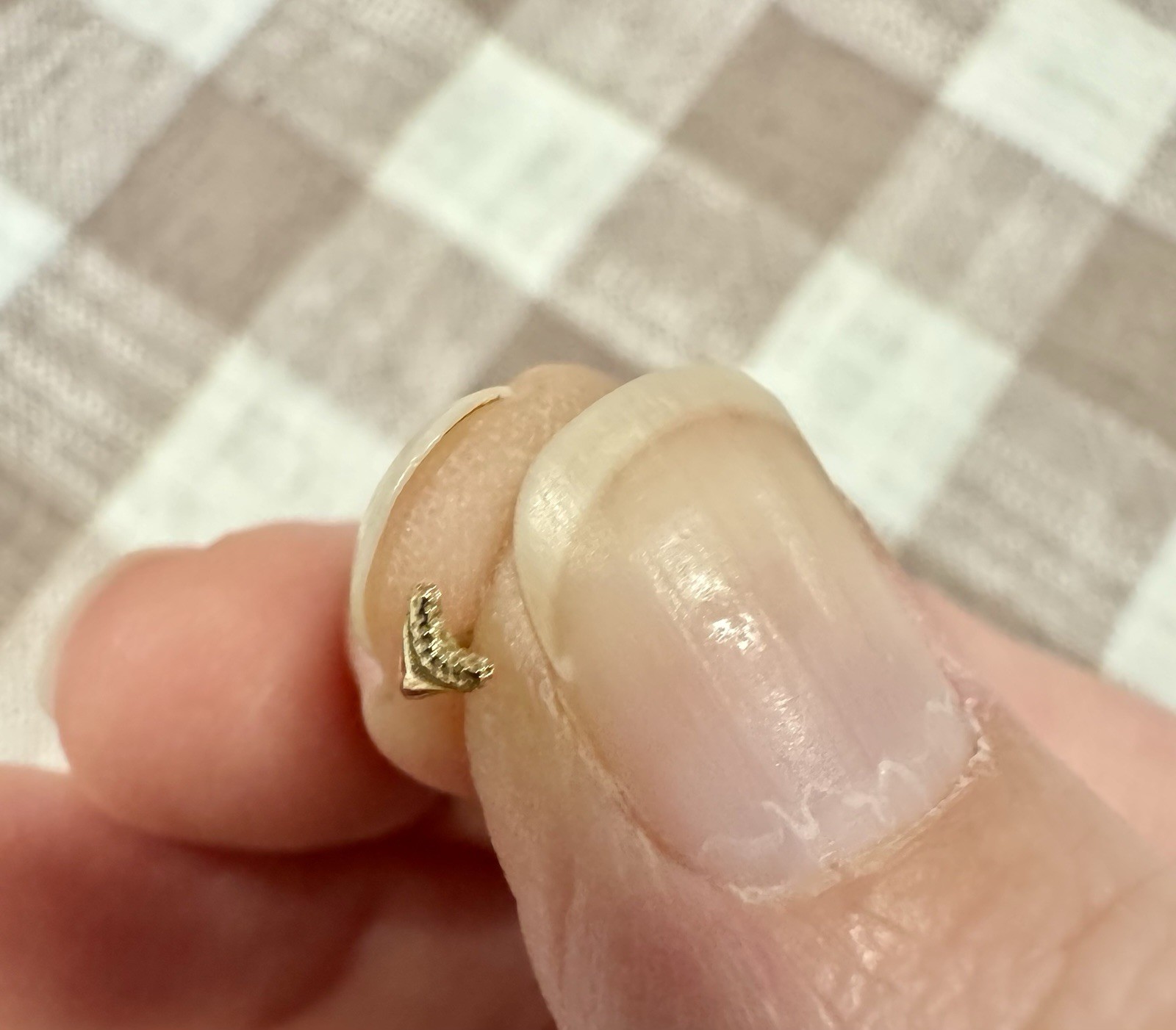 Invictus 14k Solid Gold Threadless Pin Shark Tooth - image 2