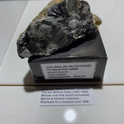 GALENA [ETC] IN MUDSTONE - TY-NEWYDD LEAD MINE, BONT-GOCH, WALES, UK 65g MF132