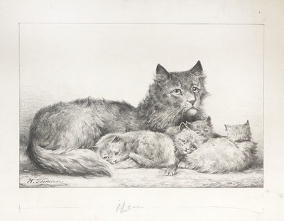 cat cats Katze Katzenmutter Kitten race Hermann Tischler Zeichnung drawing