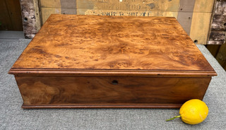 ANTIQUE LARGE BURR WALNUT CAMPAIGN DEED STORAGE BOX RECESSED BRASS SIDE HANDLES