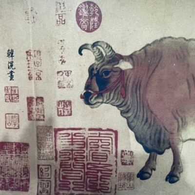 Chinese Old Scroll Painting Five Oxen By 