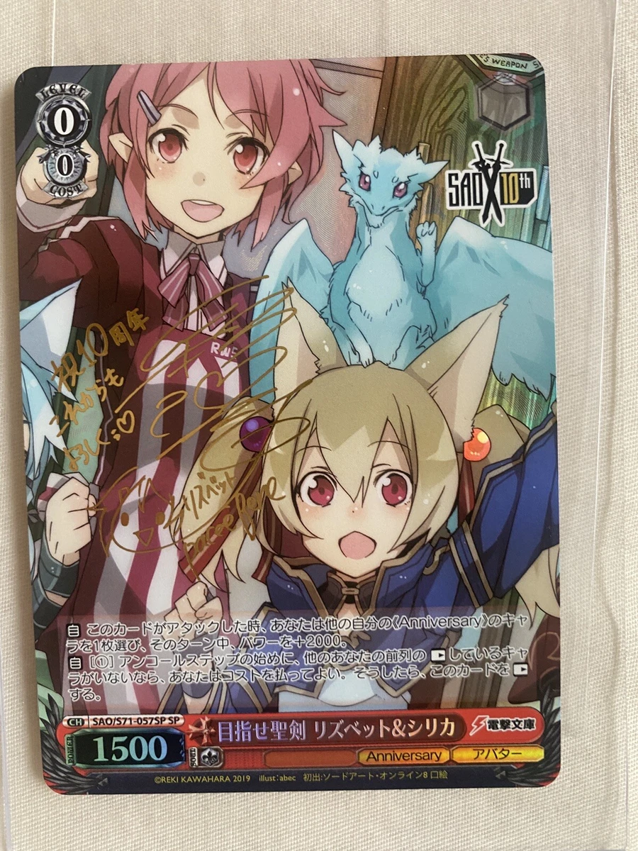 Sword Art Online Silica Hot
