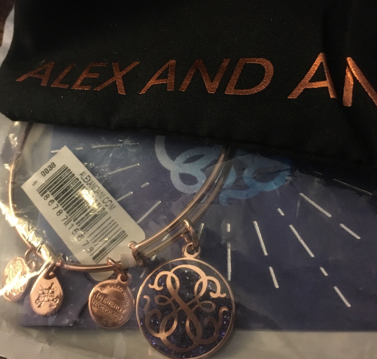 NWT ALEX AND ANI ROSE GOLD Purple Blue Path of Life Color Charm Bangle  Bracelet