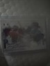 2025 Panini Impeccable - Canvas Creations Signatures Travis Bazzana 82/99 