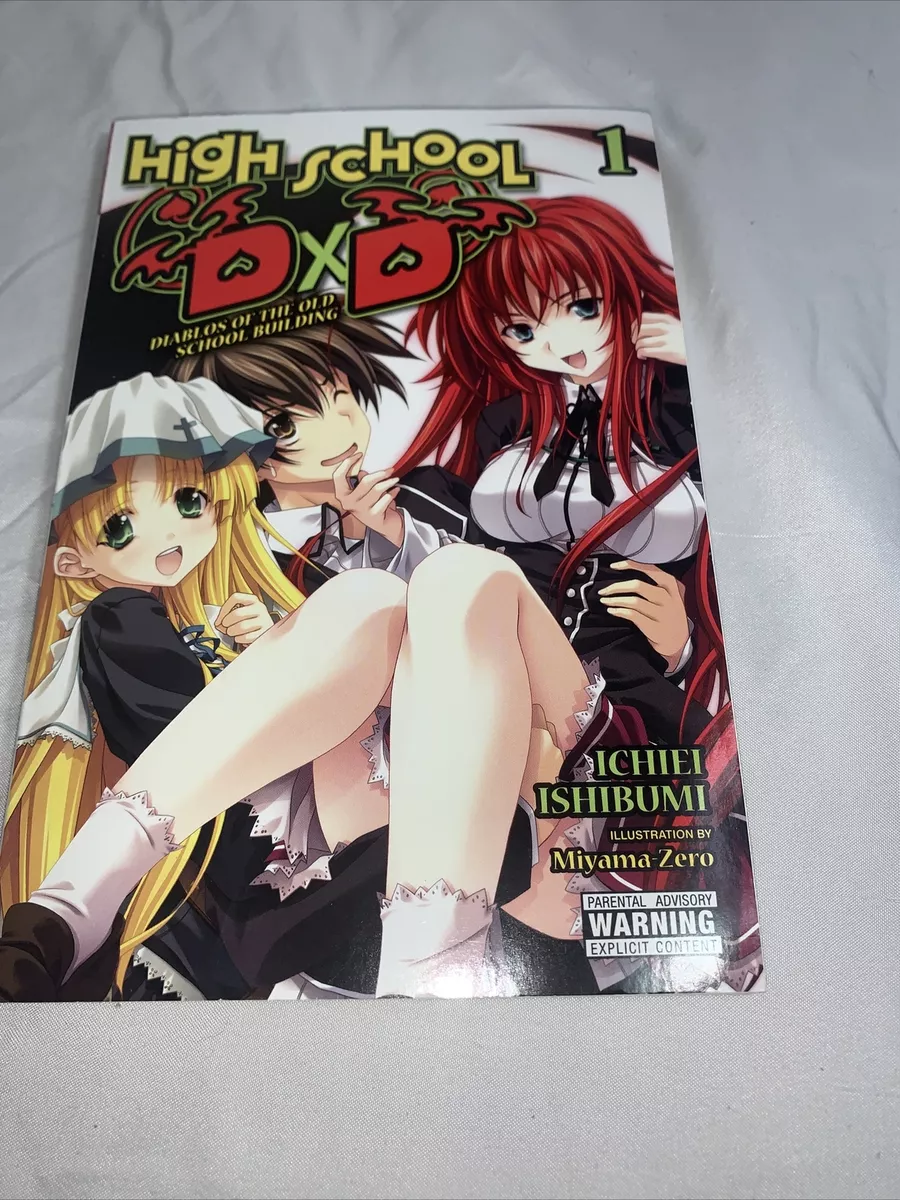 True High School DxD Vol. 2 (Light Novel)