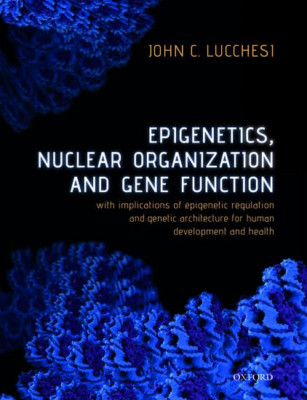 Epigenetics, Nuclear Organization & Gene Function: With - Paperback / softback N