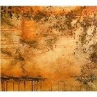 Wrath of the Weak - Alogon (2008)