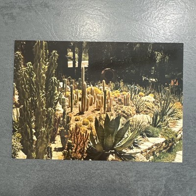 Postkarte Elche, Huerto Del Cura, Rocalla, Detalle Ansichtskarte. Ak 2262
