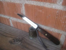 1950s Vintage 3" Curved Blade GENEVA Stainless Serrated Grapefruit Knife USA