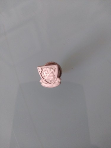 Pin's réduction plaque